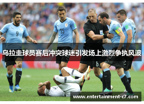 乌拉圭球员赛后冲突球迷引发场上激烈争执风波